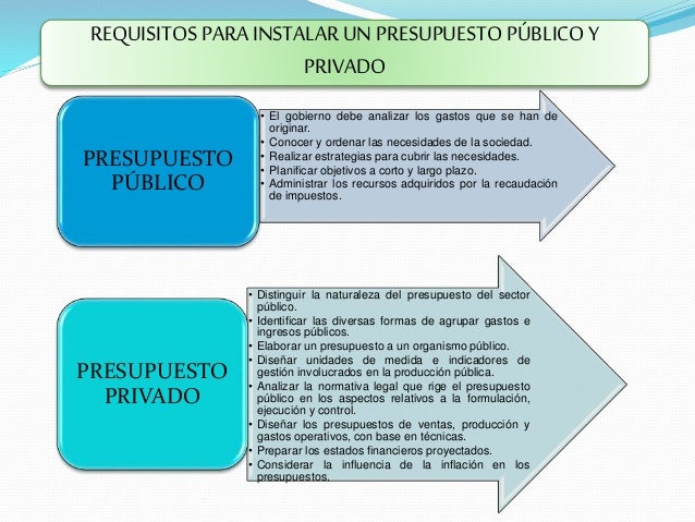 Representaciones graficas Presupuesto Público y Privado