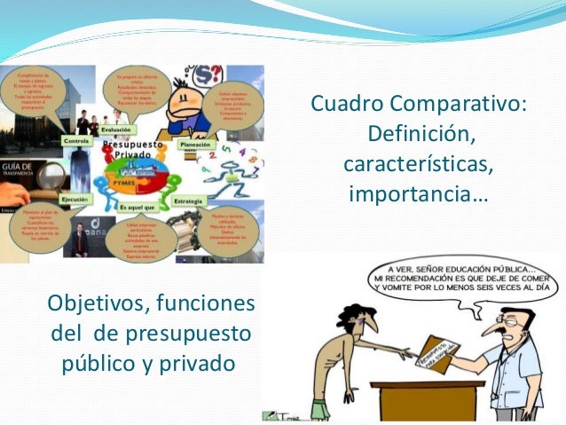 Representaciones graficas Presupuesto Público y Privado