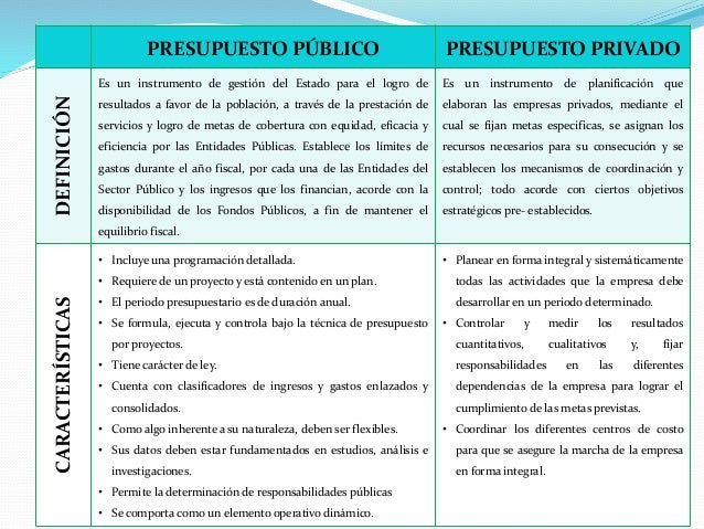 Representaciones graficas Presupuesto Público y Privado