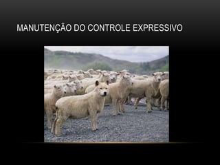 MANUTENÇÃO DO CONTROLE EXPRESSIVO
 
