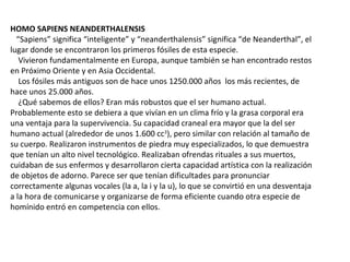 HOMO SAPIENS NEANDERTHALENSIS
   “Sapiens” significa “inteligente” y “neanderthalensis” significa “de Neanderthal”, el 
lugar donde se encontraron los primeros fósiles de esta especie.
    Vivieron fundamentalmente en Europa, aunque también se han encontrado restos 
en Próximo Oriente y en Asia Occidental.
    Los fósiles más antiguos son de hace unos 1250.000 años  los más recientes, de 
hace unos 25.000 años.
    ¿Qué sabemos de ellos? Eran más robustos que el ser humano actual. 
Probablemente esto se debiera a que vivían en un clima frío y la grasa corporal era 
una ventaja para la supervivencia. Su capacidad craneal era mayor que la del ser 
humano actual (alrededor de unos 1.600 cc3
), pero similar con relación al tamaño de 
su cuerpo. Realizaron instrumentos de piedra muy especializados, lo que demuestra 
que tenían un alto nivel tecnológico. Realizaban ofrendas rituales a sus muertos, 
cuidaban de sus enfermos y desarrollaron cierta capacidad artística con la realización 
de objetos de adorno. Parece ser que tenían dificultades para pronunciar 
correctamente algunas vocales (la a, la i y la u), lo que se convirtió en una desventaja 
a la hora de comunicarse y organizarse de forma eficiente cuando otra especie de 
homínido entró en competencia con ellos.
 