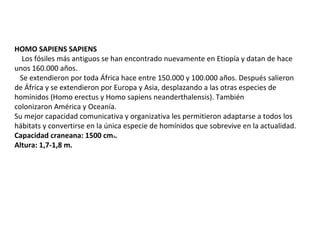 HOMO SAPIENS SAPIENS
    Los fósiles más antiguos se han encontrado nuevamente en Etiopía y datan de hace 
unos 160.000 años.
   Se extendieron por toda África hace entre 150.000 y 100.000 años. Después salieron 
de África y se extendieron por Europa y Asia, desplazando a las otras especies de 
homínidos (Homo erectus y Homo sapiens neanderthalensis). También 
colonizaron América y Oceanía.    
Su mejor capacidad comunicativa y organizativa les permitieron adaptarse a todos los 
hábitats y convertirse en la única especie de homínidos que sobrevive en la actualidad.
Capacidad craneana: 1500 cm3.
Altura: 1,7-1,8 m.
 