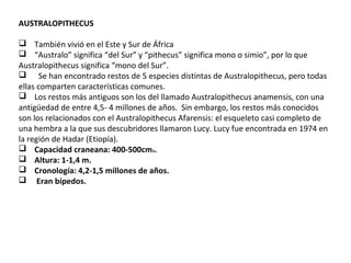 AUSTRALOPITHECUS
    También vivió en el Este y Sur de África
    “Australo” significa “del Sur” y “pithecus” significa mono o simio”, por lo que 
Australopithecus significa “mono del Sur”.
      Se han encontrado restos de 5 especies distintas de Australopithecus, pero todas 
ellas comparten características comunes.
    Los restos más antiguos son los del llamado Australopithecus anamensis, con una 
antigüedad de entre 4,5- 4 millones de años.  Sin embargo, los restos más conocidos 
son los relacionados con el Australopithecus Afarensis: el esqueleto casi completo de 
una hembra a la que sus descubridores llamaron Lucy. Lucy fue encontrada en 1974 en 
la región de Hadar (Etiopía). 
    Capacidad craneana: 400-500cm3.
    Altura: 1-1,4 m.
    Cronología: 4,2-1,5 millones de años.
     Eran bípedos.
 