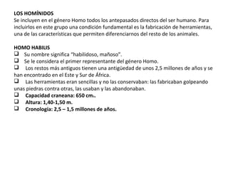 LOS HOMÍNIDOS
Se incluyen en el género Homo todos los antepasados directos del ser humano. Para 
incluirlos en este grupo una condición fundamental es la fabricación de herramientas, 
una de las características que permiten diferenciarnos del resto de los animales.
HOMO HABILIS
    Su nombre significa “habilidoso, mañoso”.
    Se le considera el primer representante del género Homo.
     Los restos más antiguos tienen una antigüedad de unos 2,5 millones de años y se 
han encontrado en el Este y Sur de África.
     Las herramientas eran sencillas y no las conservaban: las fabricaban golpeando 
unas piedras contra otras, las usaban y las abandonaban. 
     Capacidad craneana: 650 cm3.
     Altura: 1,40-1,50 m.
     Cronología: 2,5 – 1,5 millones de años.
 