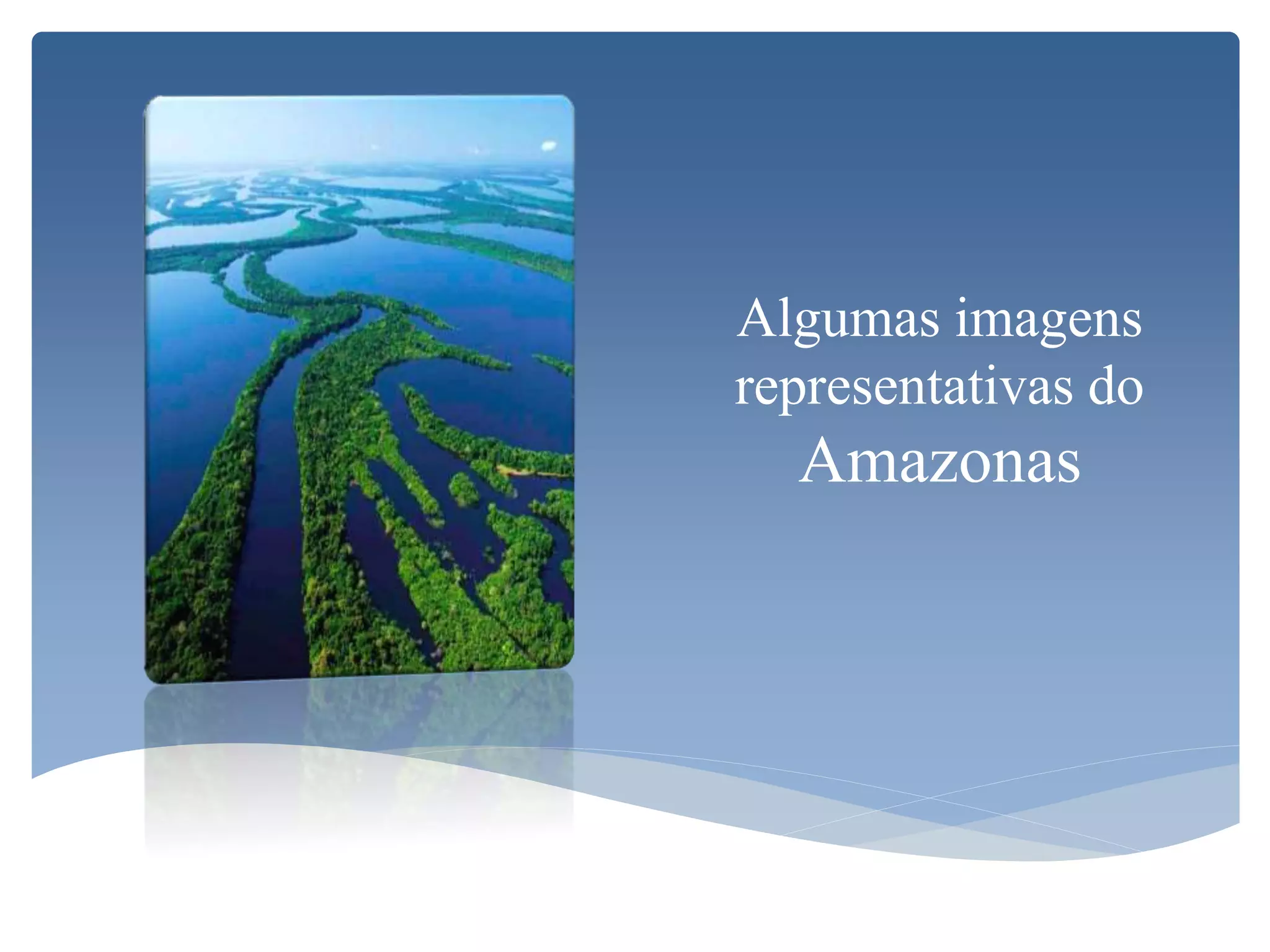Algumas imagens
representativas do
Amazonas
 