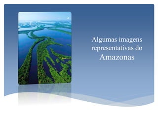 Algumas imagens
representativas do
Amazonas
 