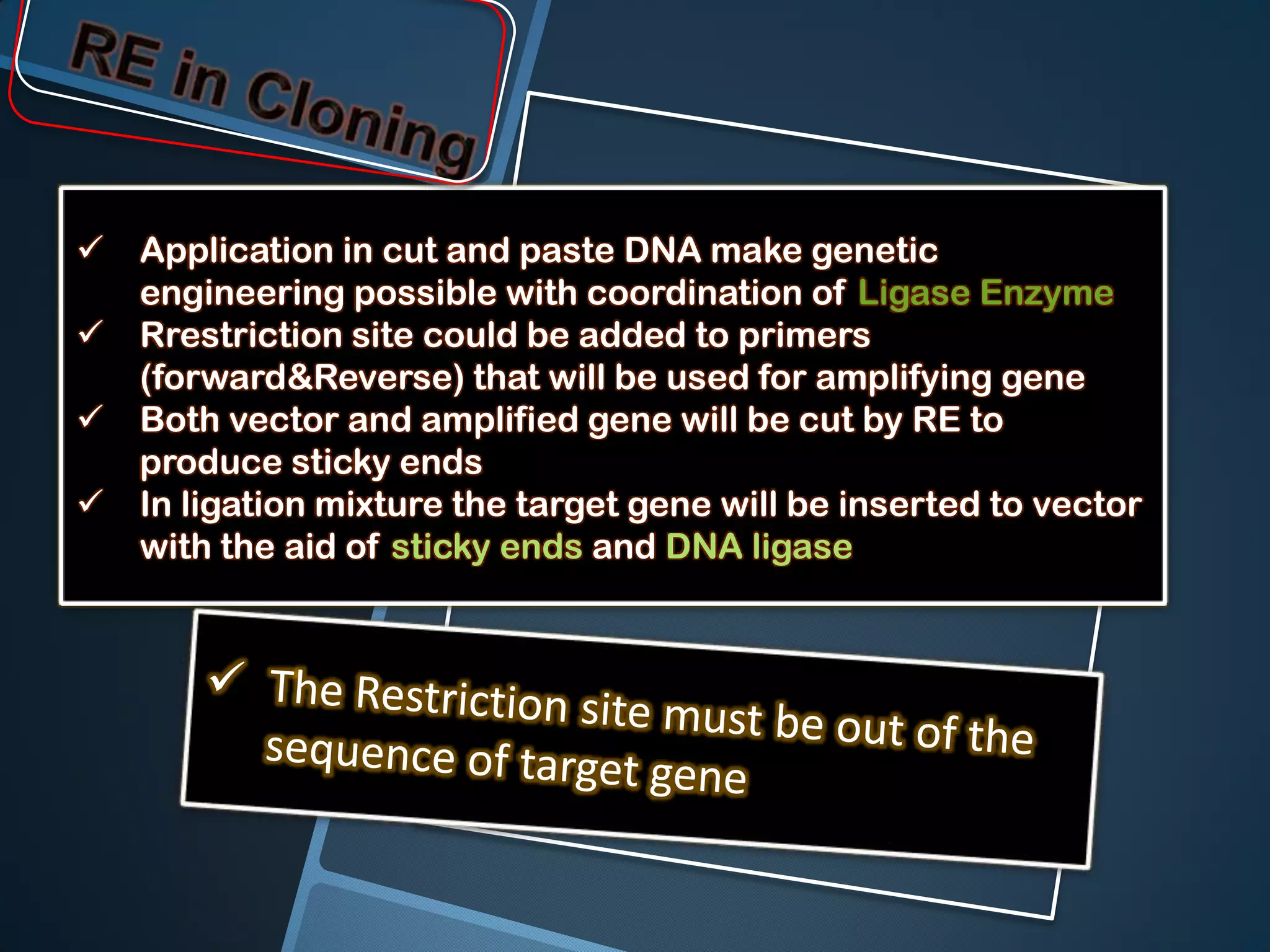    Application in cut and paste DNA make genetic
    engineering possible with coordination of Ligase Enzyme
   Rrestriction site could be added to primers
    (forward&Reverse) that will be used for amplifying gene
   Both vector and amplified gene will be cut by RE to
    produce sticky ends
   In ligation mixture the target gene will be inserted to vector
    with the aid of sticky ends and DNA ligase
 