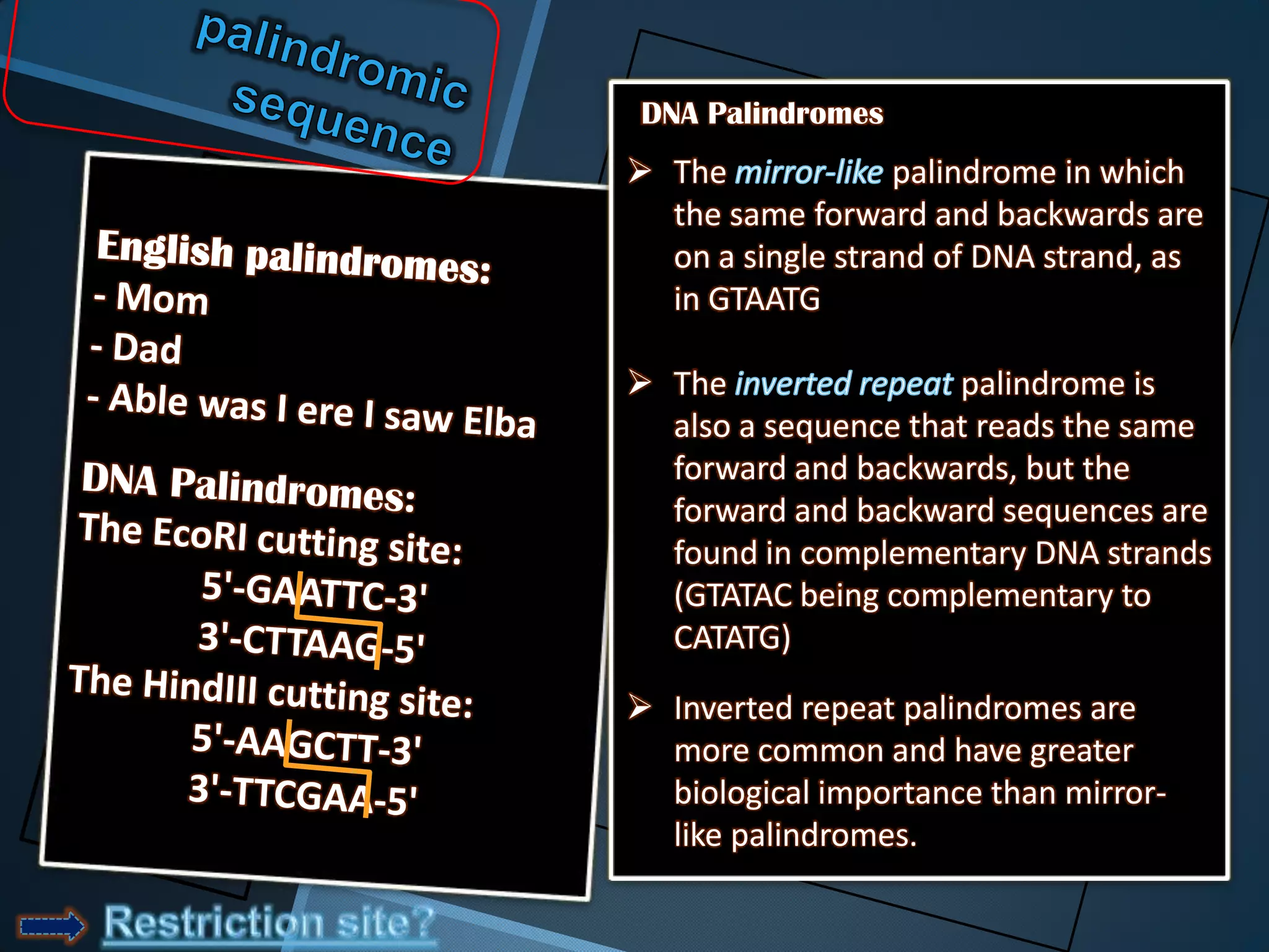 DNA Palindromes
 The             palindrome in which
  the same forward and backwards are
  on a single strand of DNA strand, as
  in GTAATG

 The                palindrome is
  also a sequence that reads the same
  forward and backwards, but the
  forward and backward sequences are
  found in complementary DNA strands
  (GTATAC being complementary to
  CATATG)
 Inverted repeat palindromes are
  more common and have greater
  biological importance than mirror-
  like palindromes.
 