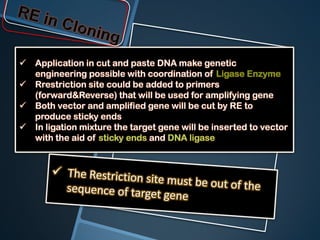    Application in cut and paste DNA make genetic
    engineering possible with coordination of Ligase Enzyme
   Rrestriction site could be added to primers
    (forward&Reverse) that will be used for amplifying gene
   Both vector and amplified gene will be cut by RE to
    produce sticky ends
   In ligation mixture the target gene will be inserted to vector
    with the aid of sticky ends and DNA ligase
 