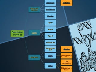 History and
               Definition




                               Type I



                              Type II
Restriction     Types
 enzymes                      Type III



                            Artificial RE


                            Recombinant
                               DNA


                                            genotype DNA
              Application

                                                DNA
                                             sequencing


                                            DNA storage –
                                              libraries
 