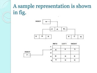 Binary Tree Representation in memory | PPTX