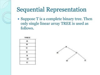 Representation of binary tree in memory | PPT