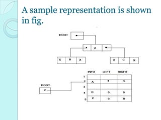 Representation of binary tree in memory | PPT