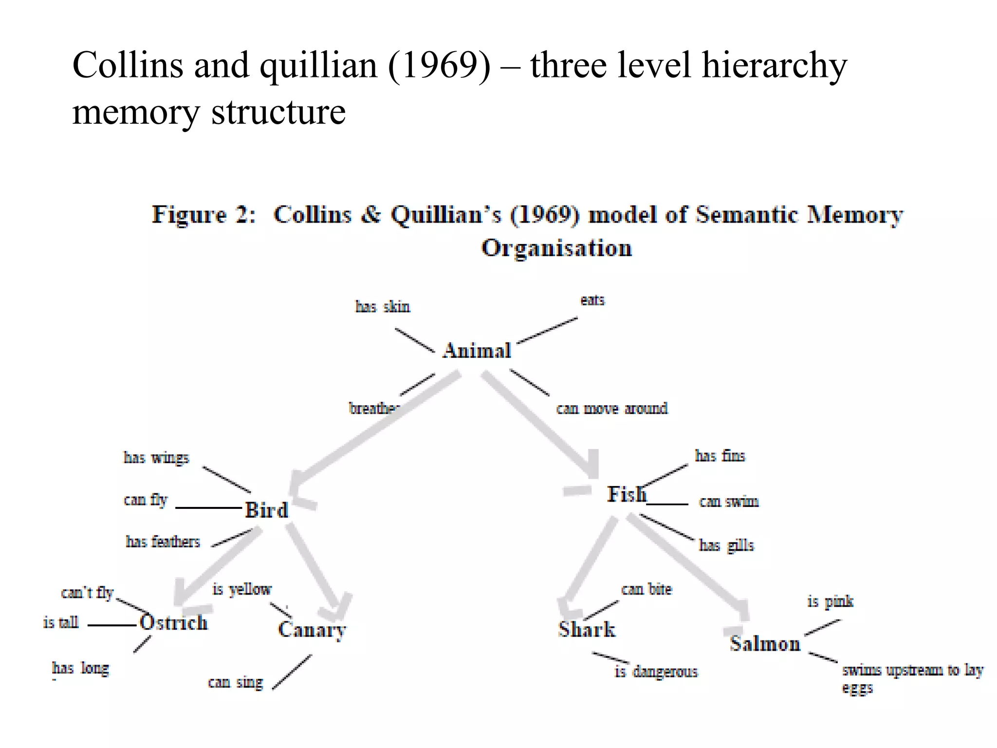 Collins and quillian (1969) – three level hierarchy
memory structure
 