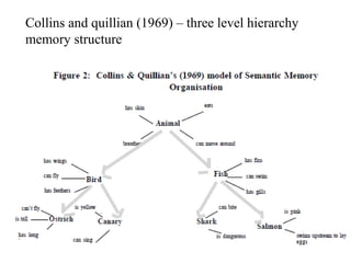 semantic network model of memory