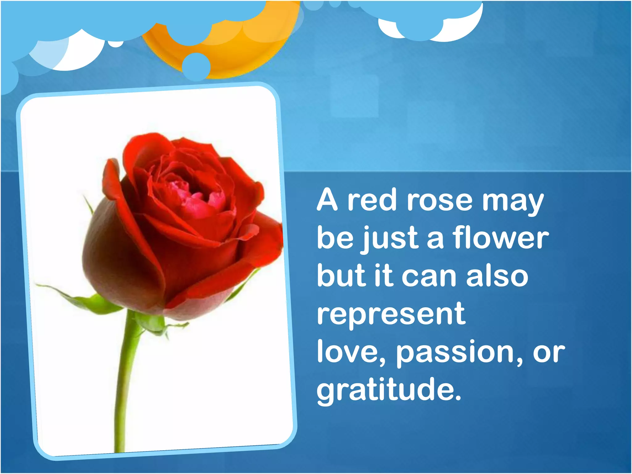 A red rose may
be just a flower
but it can also
represent
love, passion, or
gratitude.
 