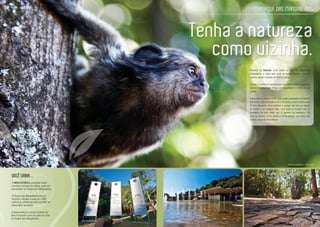 O MICO ESTRELA, escolhido como
mamífero símbolo da cidade, pode ser
encontrado no Parque das Mangabeiras.
O Parque das Mangabeiras possui
mirantes situados a mais de 1.000
metros de altitude de onde se pode ver
nosso Belo Horizonte.
VOCÊ SABIA ...
Tenha a natureza
como vizinha.
PARQUE DAS MANGABEIRAS
Morando no Naturale, você estará ao lado do Parque das
Mangabeiras, a maior área verde da capital mineira e um dos
maiores parques urbanos da América Latina.
O parque é um local de preservação, educação e pesquisa ambiental
aberto ao público, um refúgio de tranquilidade no meio da vida
urbana.
Inaugurado em maio de 1982, com projeto paisagístico de Roberto
Burle Marx, está localizado na Serra do Curral, o maior cartão postal
de Belo Horizonte. Para conhecer o parque, são três as opções
de roteiro e, em qualquer deles, você pode se encantar com os
moradores do local. Afinal, são 13 espécies de mamíferos, 158
tipos de árvores, 12 de répteis e 16 de anfíbios, que você, com
certeza, vai gostar de conhecer.
Parque das Mangabeiras - Foto do Local
Parque das MangabeirasParque das MangabeirasParque das Mangabeiras
A Quaresmeira é a árvore símbolo de
Belo Horizonte e que ela pode ser vista
no Parque das Mangabeiras.
 
