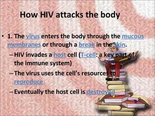 How HIV attacks the body <ul><li>1. The  virus  enters the body through the  mucous membranes  or through a  break  in the...