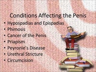 Conditions Affecting the Penis <ul><li>Hypospadias and Epispadias </li></ul><ul><li>Phimosis </li></ul><ul><li>Cancer of t...