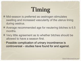 IWantToBecomeAVet.com
TimingTiming
Mid-season is preferred as oestrogen stimulates
swelling and increased vascularity of the uterus lining
during oestrus.
Average recommended age for neutering bitches is 6.5
months.
Very little agreement as to whether bitches should be
allowed to have a season first.
Possible complication of urinary incontinence is
controversial – studies have found for and against.
 