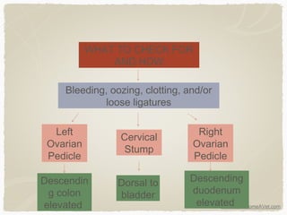IWantToBecomeAVet.com
WHAT TO CHECK FOR
AND HOW
Left
Ovarian
Pedicle
Right
Ovarian
Pedicle
Descendin
g colon
elevated
Descending
duodenum
elevated
Dorsal to
bladder
Cervical
Stump
Bleeding, oozing, clotting, and/or
loose ligatures
 