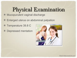 IWantToBecomeAVet.com
Physical ExaminationPhysical Examination
Mucopurulent vaginal discharge
Enlarged uterus on abdominal palpation
Temperature 39.8 C
Depressed mentation
 
