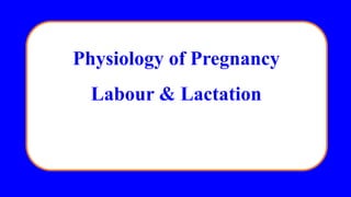 Physiology of Pregnancy
Labour & Lactation
 