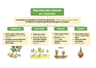 Reproducción asexual en vegetales