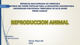 Facilitador:
 M/V Isai Duran
Elorza, Mayo del
2023
 