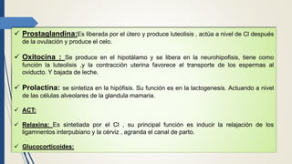  Prostaglandina:Es liberada por el útero y produce luteolisis , actúa a nivel de Cl después
de la ovulación y produce el celo.
 Oxitocina : Se produce en el hipotálamo y se libera en la neurohipofisis, tiene como
función la luteolisis ,y la contracción uterina favorece el transporte de los espermas al
oviducto. Y bajada de leche.
 Prolactina: se sintetiza en la hipófisis. Su función es en la lactogenesis. Actuando a nivel
de las células alveolares de la glandula mamaria.
 ACT:
 Relaxina: Es sintetiada por el Cl , su principal función es inducir la relajación de los
ligamnentos interpubiano y la cérviz , agranda el canal de parto.
 Glucocorticoides:
 