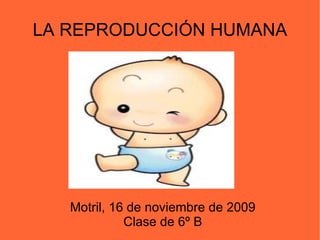 LA REPRODUCCIÓN HUMANA Motril, 16 de noviembre de 2009 Clase de 6º B 