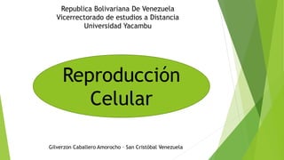 Republica Bolivariana De Venezuela
Vicerrectorado de estudios a Distancia
Universidad Yacambu
Reproducción
Celular
Gilverzon Caballero Amorocho – San Cristóbal Venezuela
 