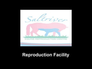 Reproduction Facility
 