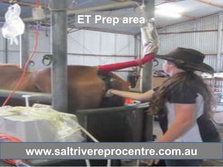 ET Prep area




www.saltrivereprocentre.com.au
 