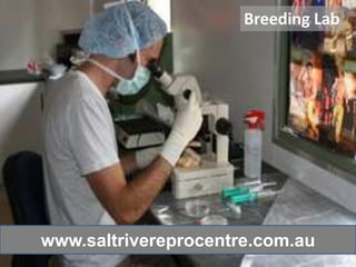 Breeding Lab




www.saltrivereprocentre.com.au
 