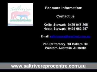 Saltriver Reproduction Centre - Facilities