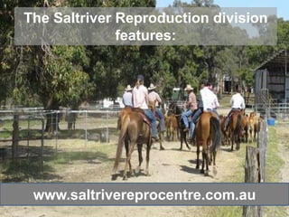 The Saltriver Reproduction division
              features:




 www.saltrivereprocentre.com.au
 