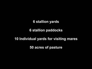 6 stallion yards

         6 stallion paddocks

10 Individual yards for visiting mares

         50 acres of pasture
 