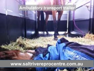 Ambulatory transport trailer




www.saltrivereprocentre.com.au
 