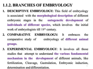 1.1.2. BRANCHES OF EMBRYOLOGY
1. DESCRIPTIVE EMBRYOLOGY: This field of embryology
is associated with the morphological description of different
embryonic stages in the ontogenetic development of
individuals of different species, which involves the initial
work of embryologists till 18th century.
2. COMPARATIVE EMBRYOLOGY: It embraces the
comparative study of embryology of different animal
groups.
3. EXPERIMENTAL EMBRYOLOGY: It involves all those
studies that attempt to understand the various fundamental
mechanism in the development of different animals, like
fertilization, Cleavage, Gastrulation, Embryonic induction,
determination and differentiation.
6
 