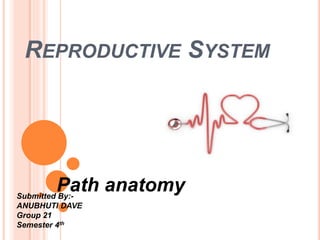 REPRODUCTIVE SYSTEM
Path anatomySubmitted By:-
ANUBHUTI DAVE
Group 21
Semester 4th
 