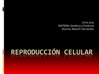 REPRODUCCIÓN CELULAR
Junio 2015
MATERIA: Genética y Conducta
Alumna: María P. Hernández
 