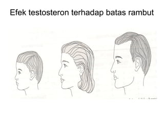 Reprod Reprod manusia | PPT