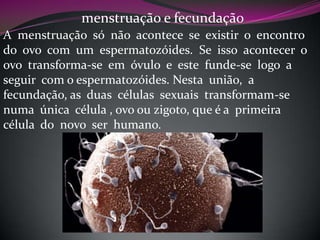 menstruação e fecundação
A menstruação só não acontece se existir o encontro
do ovo com um espermatozóides. Se isso acontecer o
ovo transforma-se em óvulo e este funde-se logo a
seguir com o espermatozóides. Nesta união, a
fecundação, as duas células sexuais transformam-se
numa única célula , ovo ou zigoto, que é a primeira
célula do novo ser humano.

 