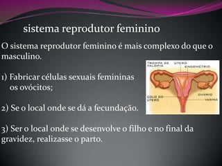 sistema reprodutor feminino
O sistema reprodutor feminino é mais complexo do que o
masculino.
1) Fabricar células sexuais femininas
os ovócitos;

2) Se o local onde se dá a fecundação.
3) Ser o local onde se desenvolve o filho e no final da
gravidez, realizasse o parto.

 