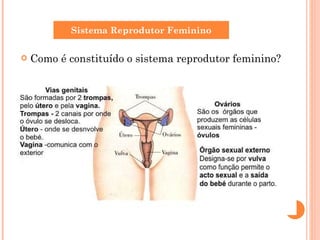 Como é constituído o sistema reprodutor feminino? Sistema Reprodutor Feminino 