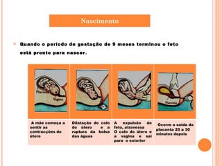Quando o período de gestação de 9 meses terminou o feto está pronto para nascer . Nascimento A mãe começa a sentir as contracções do útero Dilatação do colo do útero  e a ruptura da bolsa das águas A expulsão do feto, atravessa O colo do útero e a vagina e sai para  o exterior Ocorre a saída da placenta 20 a 30 minutos depois 