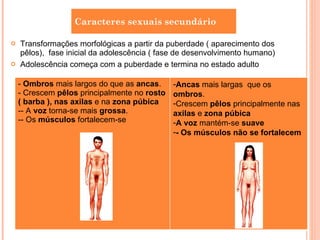 Transformações morfológicas a partir da puberdade ( aparecimento dos pêlos),  fase inicial da adolescência ( fase de desenvolvimento humano) Adolescência começa com a puberdade e termina no estado adulto Caracteres sexuais secundário -   Ombros  mais largos do que as  ancas . Crescem  pêlos  principalmente no  rosto ( barba ), nas axilas  e na  zona púbica - A  voz  torna-se mais  grossa . - Os  músculos  fortalecem-se Ancas  mais largas  que os  ombros . Crescem  pêlos  principalmente nas  axilas  e  zona púbica A voz  mantém-se  suave - Os músculos não se fortalecem 