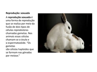 Reprodução: sexuada
A reprodução sexuada é
uma forma de reprodução
que se realiza por meio da
fusão de dois tipos de
células reprodutoras
chamadas gametas. Nos
animais essas células
chamam-se o óvulo e
o espermatozóide. “Os
gametas
são células haploides que
se formam nas gónadas
por meiose.”
 