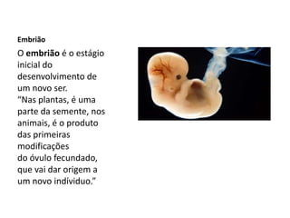 Embrião
O embrião é o estágio
inicial do
desenvolvimento de
um novo ser.
“Nas plantas, é uma
parte da semente, nos
animais, é o produto
das primeiras
modificações
do óvulo fecundado,
que vai dar origem a
um novo indíviduo.”
 